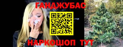 гидропоника Владимир